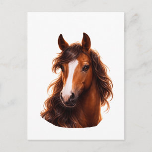 Carte Postale Magnifique, cheval brun avec une liste blanche