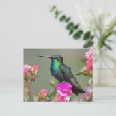 Carte Postale Magnifique colibri au repos (Debout devant)