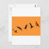 Carte Postale Magnifique frégate oiseau Galapagos Îles (Devant / Derrière)