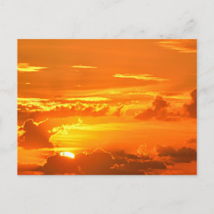 Carte Postale Magnifique lever de soleil en Floride