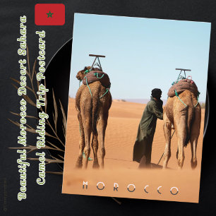 Carte Postale Magnifique Maroc Désert Sahara Camel équitation Vo