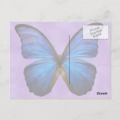 Carte Postale Magnifique papillon bleu Morpho (Dos)