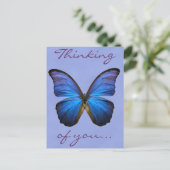 Carte Postale Magnifique papillon bleu Morpho (Debout devant)