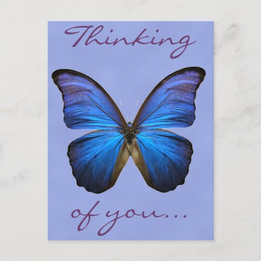 Carte Postale Magnifique papillon bleu Morpho (Devant)
