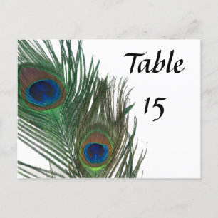 Carte Postale Magnifique Peacock Mariage chiffres
