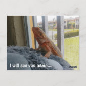 Carte Postale Magnifique photo commémorative de dragon perché (Dos)