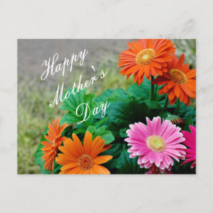 Carte Postale Magnifique Vibrant Fête des Mères Gerbera Daisy Ca