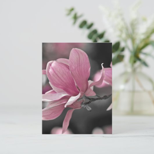 Carte Postale Magnolia (Debout devant)