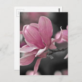 Carte Postale Magnolia (Devant / Derrière)