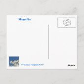 Carte postale Magnolia (Dos)