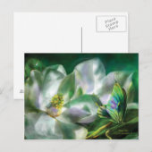 Carte postale Magnolia (Devant / Derrière)