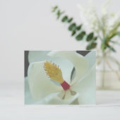 Carte Postale Magnolia (Debout devant)