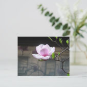 CARTE POSTALE MAGNOLIA (Debout devant)