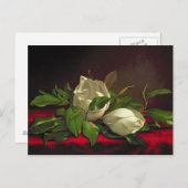 Carte Postale Magnolia (Devant / Derrière)