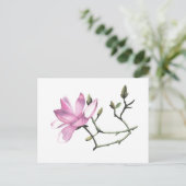 Carte Postale Magnolia (Debout devant)