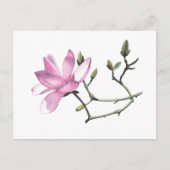 Carte Postale Magnolia (Devant)