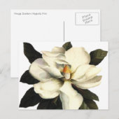Carte Postale Magnolia (Devant / Derrière)