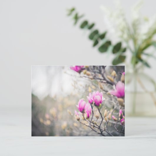 Carte Postale Magnolia (Debout devant)