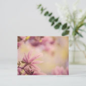 Carte Postale Magnolia (Debout devant)