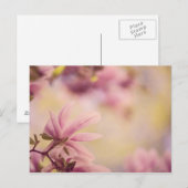 Carte Postale Magnolia (Devant / Derrière)
