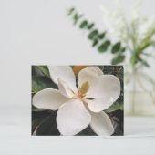 Carte Postale Magnolia (Debout devant)