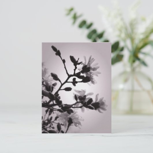 Carte Postale Magnolia (Debout devant)