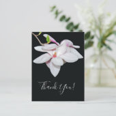 Carte Postale Magnolia blanc (Debout devant)