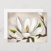 Carte Postale Magnolia blanc botanique (Devant / Derrière)
