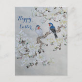 Carte Postale Magnolia blanche (Devant)