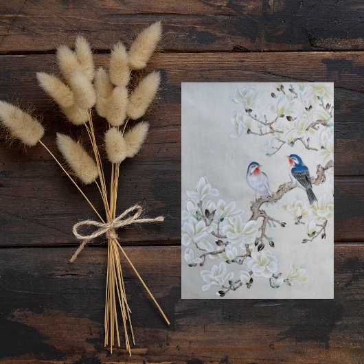 Carte Postale Magnolia blanche