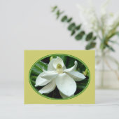 Carte postale Magnolia Bloom 2 (Debout devant)