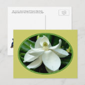Carte postale Magnolia Bloom 2 (Devant / Derrière)