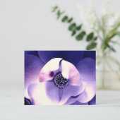 Carte Postale Magnolia blossom (Debout devant)