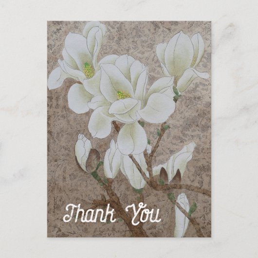 Carte Postale Magnolia blossom (Devant)