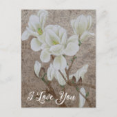 Carte Postale Magnolia blossom (Devant)