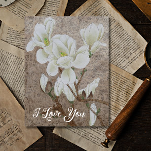 Carte Postale Magnolia blossom