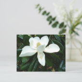 Carte Postale Magnolia Blossom (Debout devant)