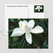 Carte Postale Magnolia Blossom (Devant / Derrière)