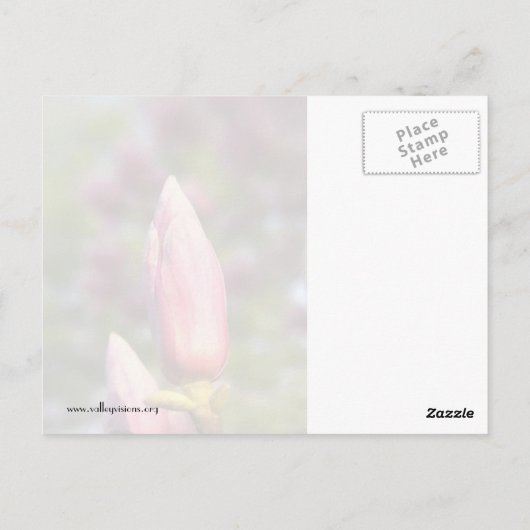 Carte Postale Magnolia Buds (Dos)