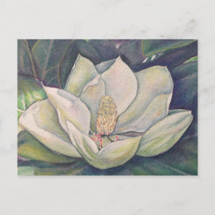 Carte Postale Magnolia en acier