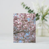 Carte Postale Magnolia en avril (Debout devant)