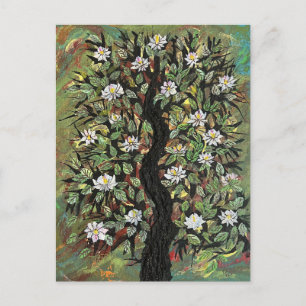 Carte Postale Magnolia été