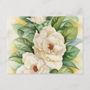 Carte Postale Magnolia Fleur Blanche Vintage Fleur Art Floral