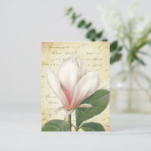 Carte Postale Magnolia Flower Vintage Botanique (Debout devant)
