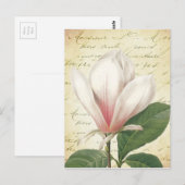 Carte Postale Magnolia Flower Vintage Botanique (Devant / Derrière)