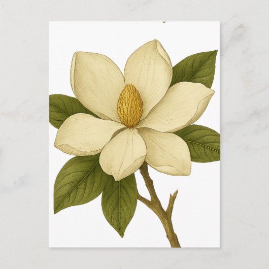 Carte Postale Magnolia — Noblesse (Devant)