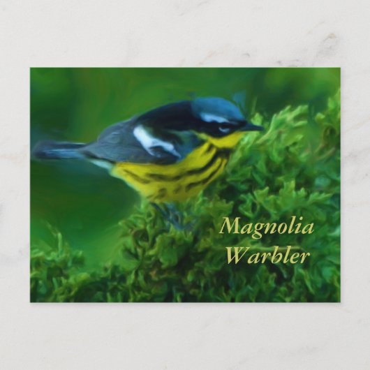Carte postale Magnolia Paruline (Devant)