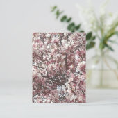 Carte Postale Magnolia rose printemps (Debout devant)