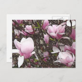 Carte postale Magnolia Tree (Devant / Derrière)