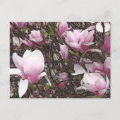 Carte postale Magnolia Tree (Devant)